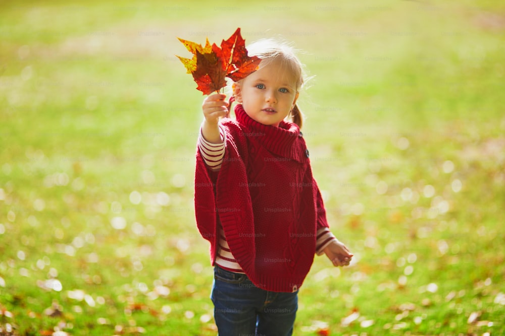 Adorable toddler girl playing in autumn park. Happy kid enjoying fall day. Outdoor activites for kids