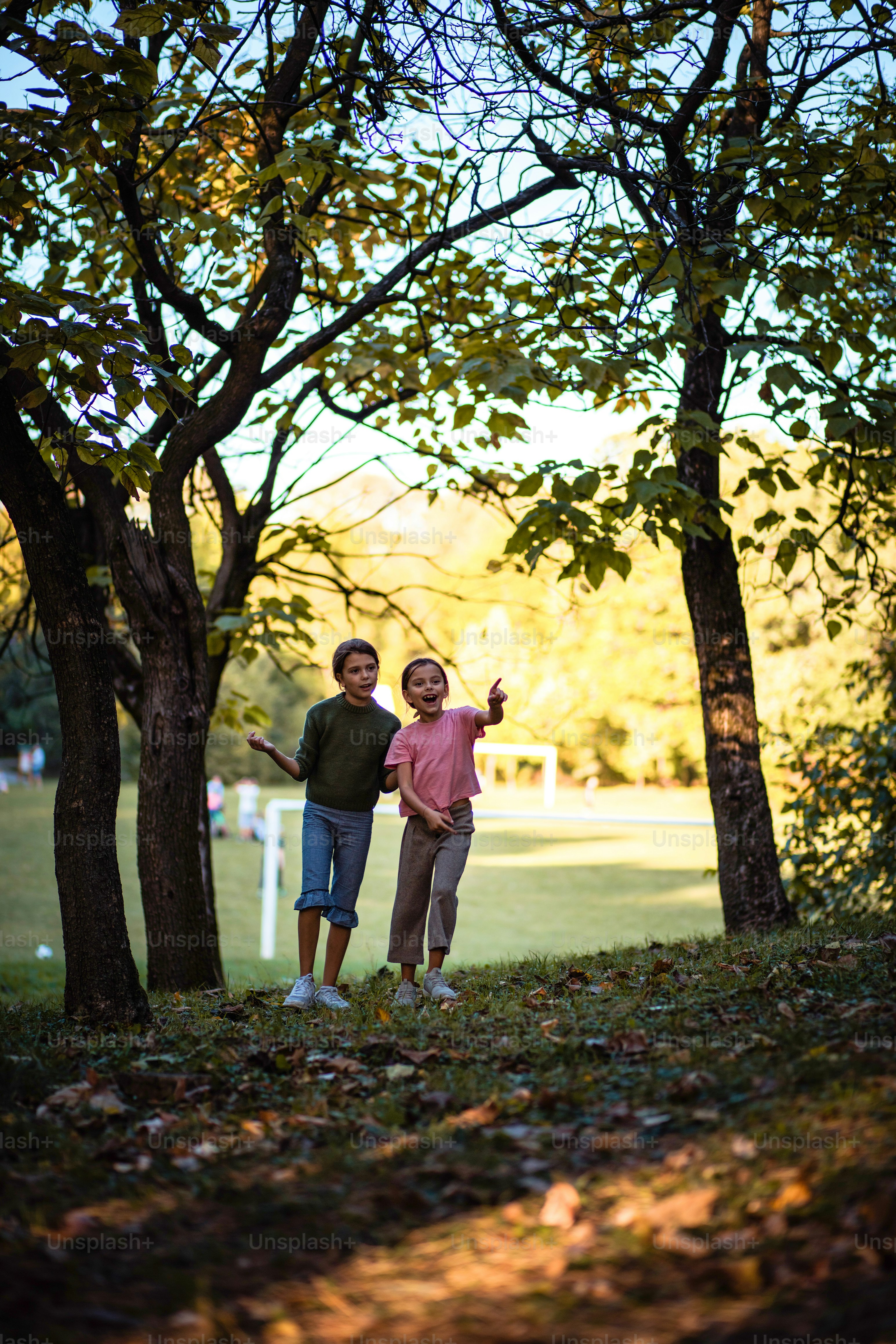 Talk about nature.  Two school girl walking trough forest and talking.