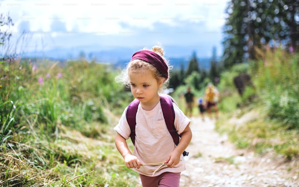 Retrato de vista frontal de una niña pequeña al aire libre en la naturaleza del verano, caminando.