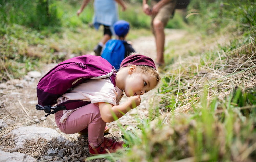 Portrait of happy small toddler girl outdoors in summer nature, exploring.