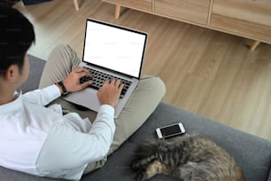 Young attractive man sitting on sofa at home while working on laptop online.