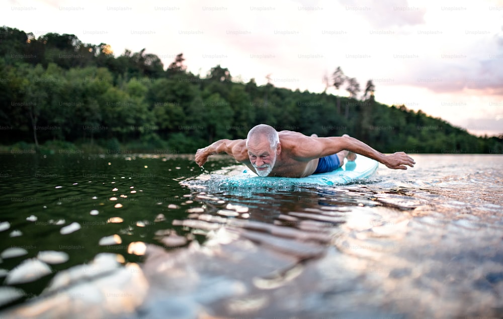 Active senior man on paddleboard on lake in summer, swimming.