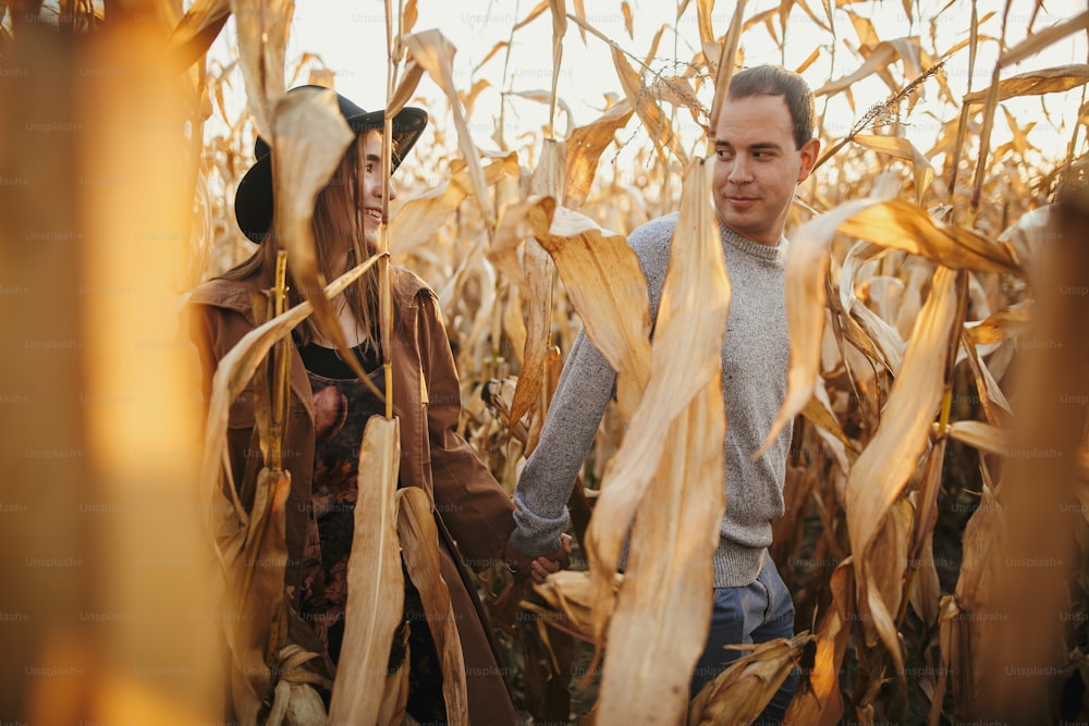 Heureux couple élégant marchant dans un champ de maïs d’automne dans la lumière chaude du coucher du soleil. Moment romantique et sensuel. Jeune homme et femme à la mode s’embrassant parmi les feuilles de maïs dorées