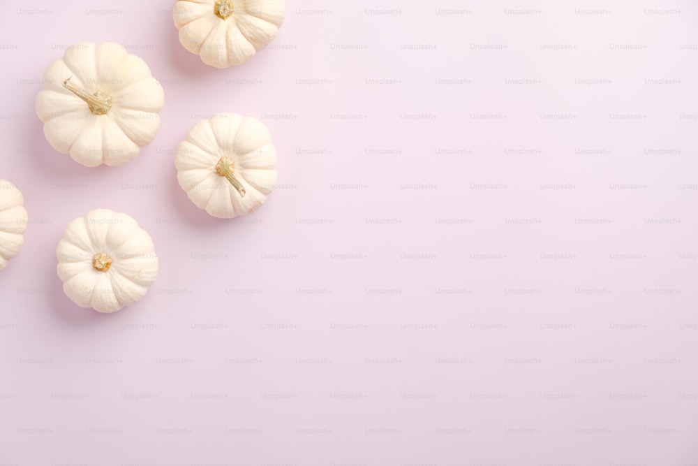 Flat lay composition with white pumpkin on pink background. Top view with copy space. Autumn fall, thanksgiving concept. Minimalist style.