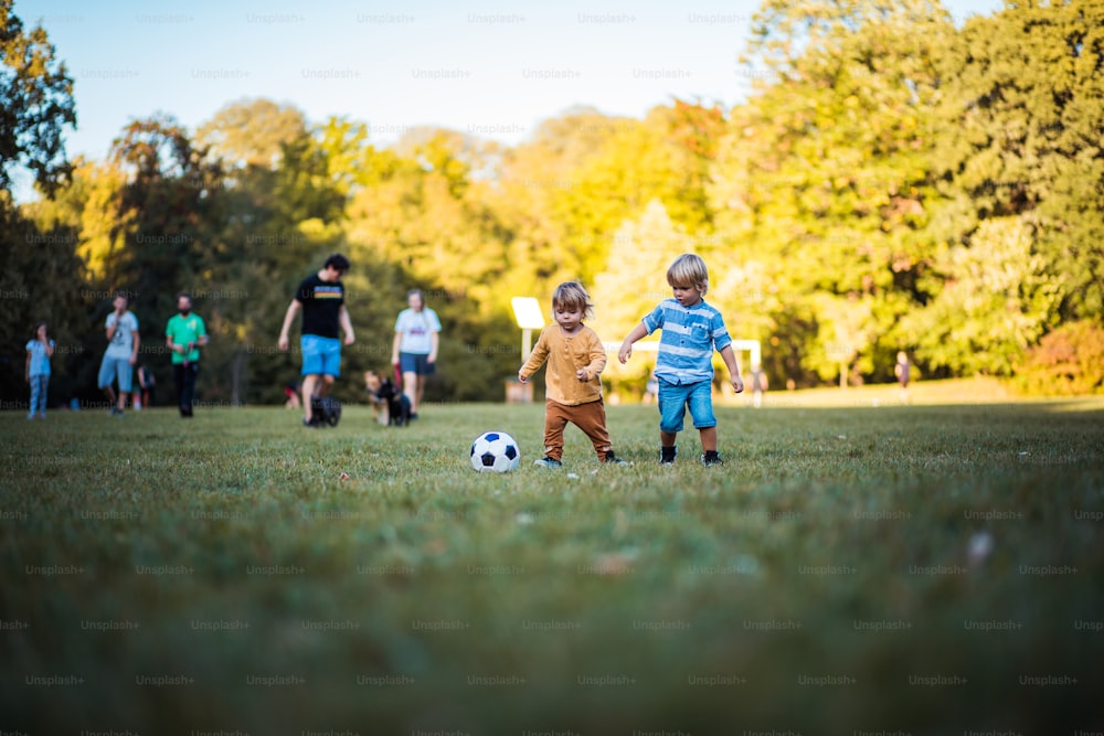 Diversão na grama.  Dois meninos jogando futebol.