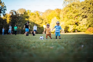 Fun on the grass.  Two little boys playing football.