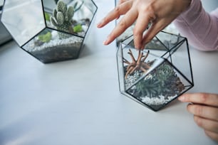 Close up of female hand putting decorative element into succulent glass container