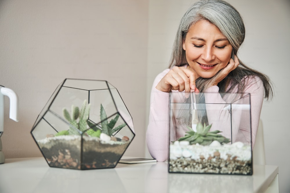 Belle dame souriante utilisant une brosse douce pour enlever la poussière de la plante dans un terrarium en verre géométrique tout en étant assise à la table à la maison