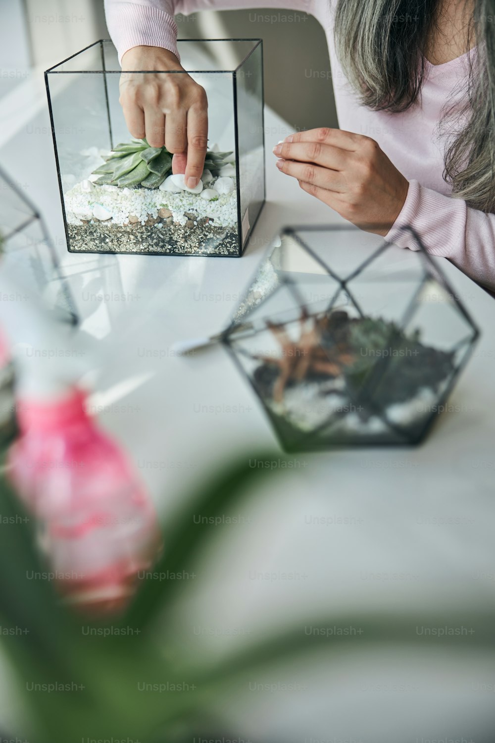 Close up of female hand placing decorative stones into geometric florarium with succulent plant while lady sitting at the windowsill at home