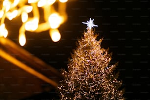 Elegante albero di Natale con luci dorate e grande stella illuminata nella vecchia piazza europea di notte. Turismo delle vacanze, mercatino delle vacanze invernali festive. Buon Natale!