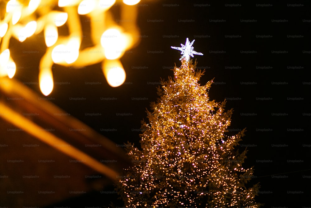 Stylish Christmas tree with golden lights and big illuminated star in old european city square in night. Holiday tourism, festive winter holiday market. Merry Christmas!