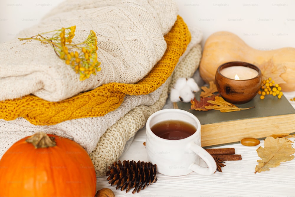 Happy Thanksgiving and Hello fall concept. Warm tea, pumpkins and spices on background of cozy knitted sweaters, autumn leaves, candle and book. Leisure time at home, stylish autumnal image.