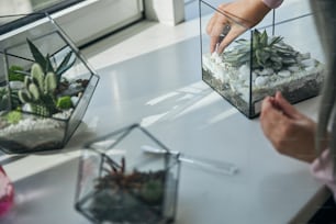 Close up of woman placing decorative white stones into glass container with succulent plant while sitting at the windowsill at home