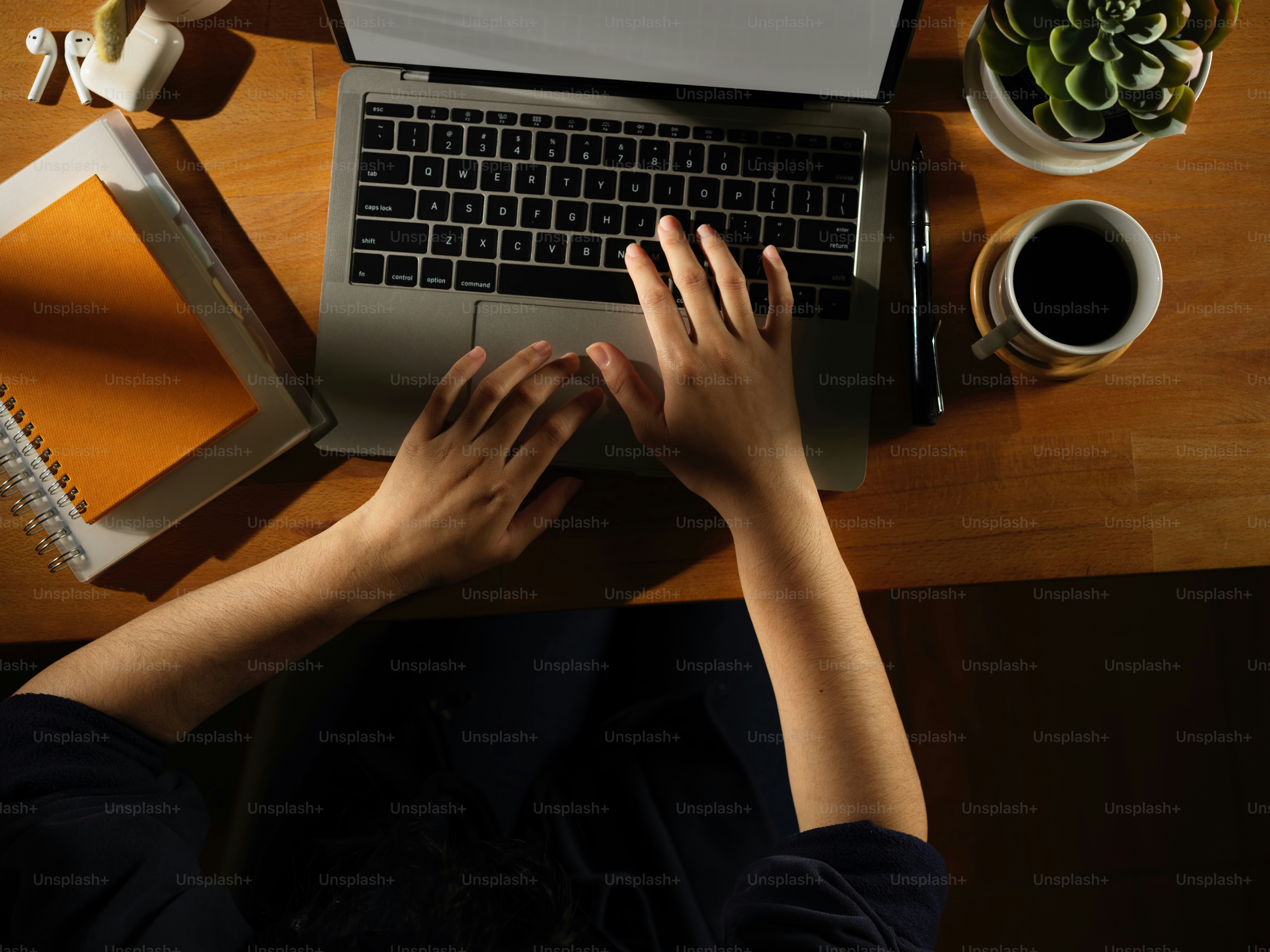 Overhead-Aufnahme von weiblicher Hand, die auf dem Laptop auf einem Holztisch mit Schreibwaren und Pflanzentopf tippt