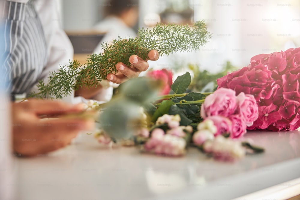 Close-up photo of person hands picking a gentle plant with thin leaves form a table full of flowers