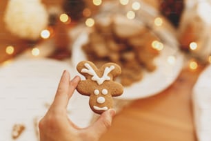 Hand holding gingerbread reindeer cookie with icing on background of wooden table with festive lights and christmas cookies on plate with sugar frosting. Atmospheric family time. Merry Christmas