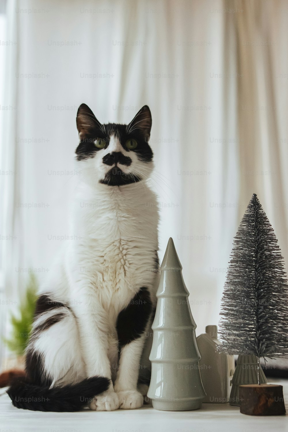Süße Katze sitzt an modernen Weihnachtsdekorationen, kleinen Bäumen und Häusern. Süße schwarz-weiße Katze, die an Miniatur-Dorf-, Haus- und Weihnachtsbäumen im festlichen Raum posiert. Frohe Weihnachten!