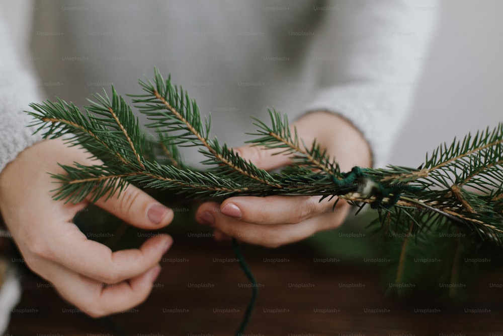 緑のモミの枝を持ち、木製のテーブルの背景に素朴なクリスマスリースを作る女性の手の接写。手作りのお祝いの装飾、休日のアドベント。季節の冬のワークショップ