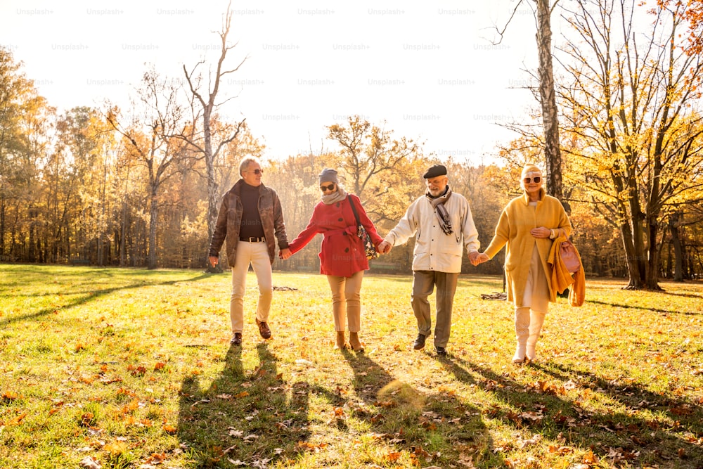 Happy group of old senior friends walking together in beautiful sunny autumn park, holding hands. Friendship concept with smiling mature people.
