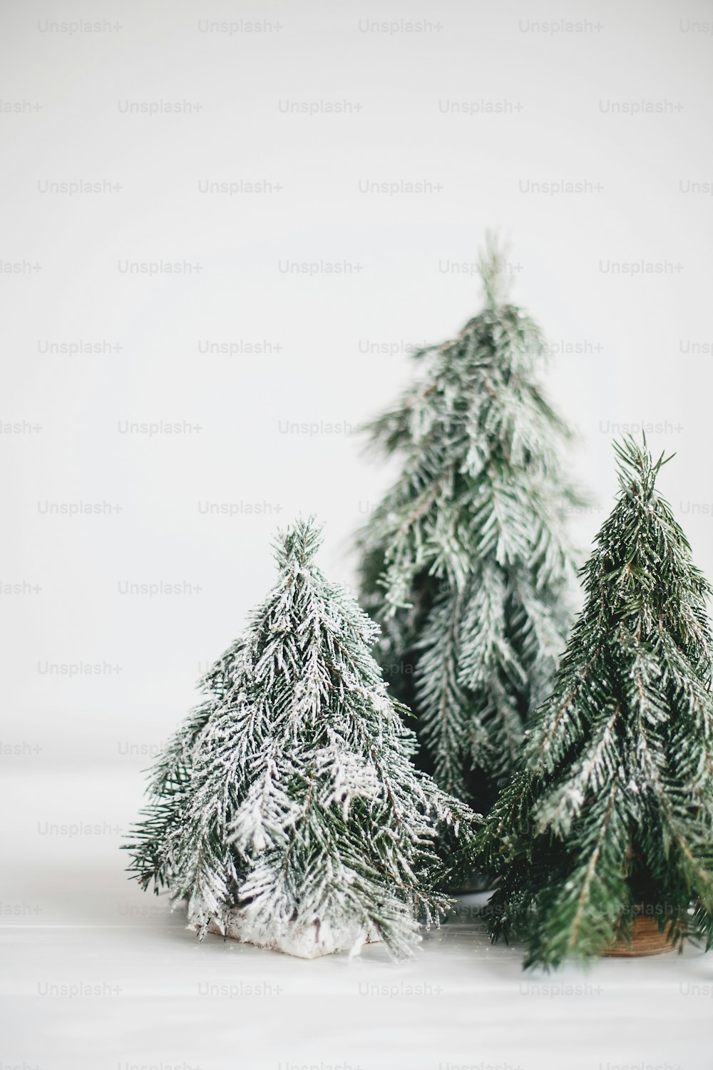 Christmas scene, miniature winter forest. Christmas little snowy handmade pine trees on white background. Festive modern decoration. Merry Christmas!