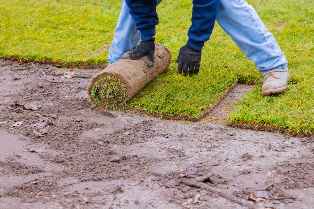 Neue Rasenrollen aus frischem Rasen einsatzbereit