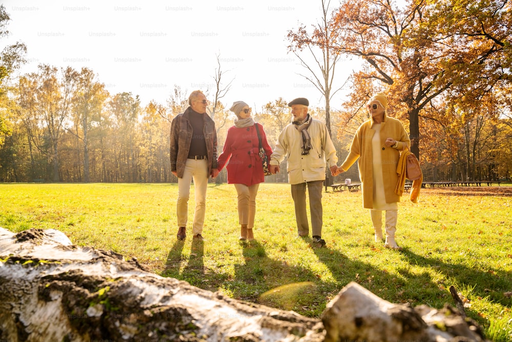 Happy group of old senior friends walking together in beautiful sunny autumn park, holding hands. Friendship concept with smiling mature people.