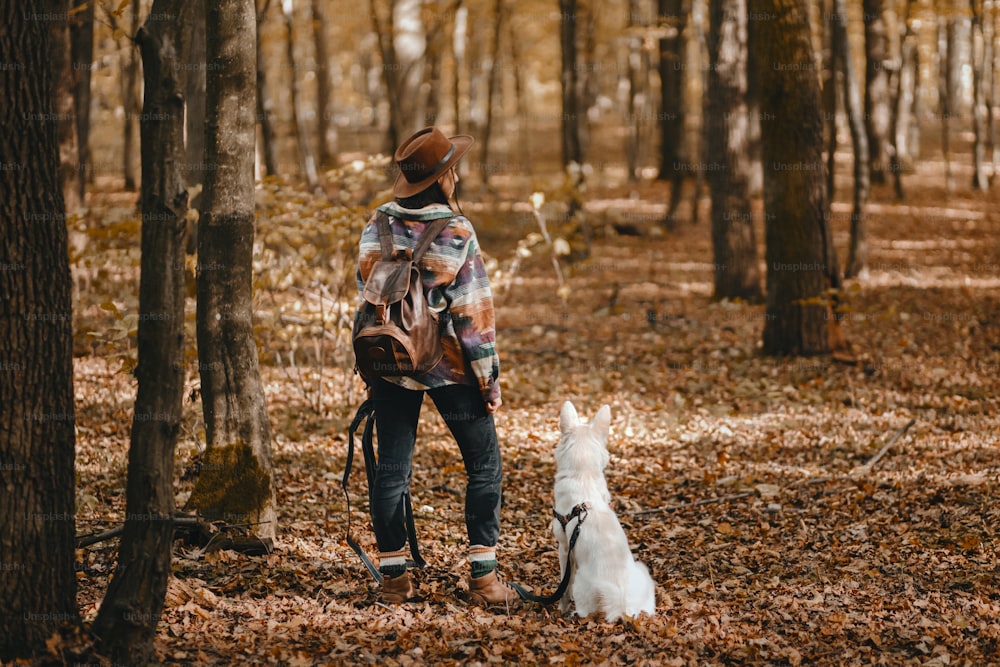 Mujer elegante con mochila que camina con un adorable perro blanco en bosques soleados de otoño. Lindo cachorro de pastor suizo y hembra dueña que viaja en el bosque de otoño. Espacio para el texto