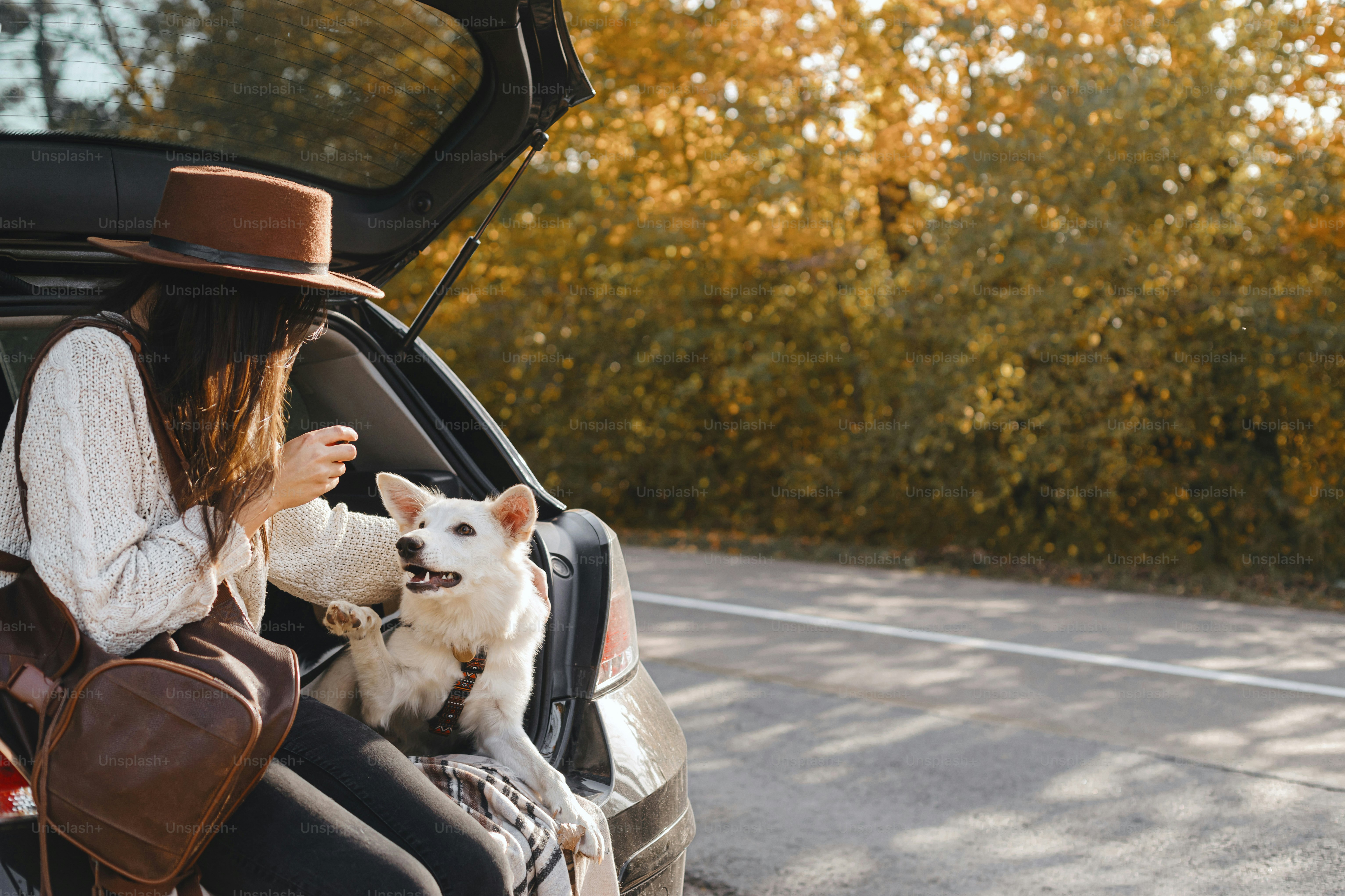 Eine Frau mit Hut sitzt im Kofferraum mit einem weißen Hund