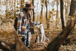 화창한 가을 숲에서 사랑스러운 하얀 개를 훈련시키는 세련된 여성. 귀여운 스위스 양치기 강아지가 간식으로 배우고 있습니다. 배낭을 메고 가을 숲에서 강아지와 놀고 있는 힙스터 여성. 텍스트를 위한 공간