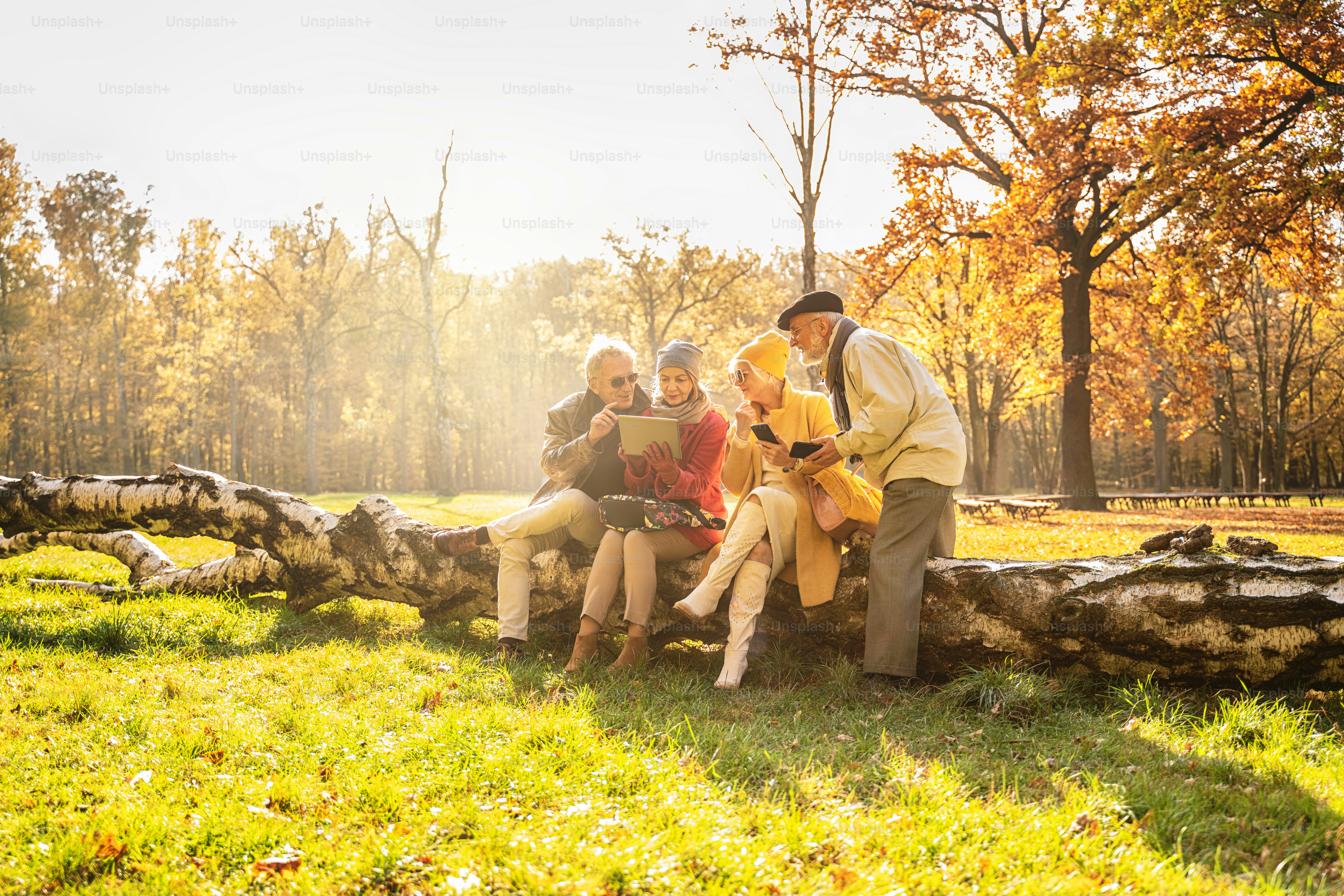 Senior people using mobile smart phones and tablet in beautiful autumn park. Retired friends spending time together outdoor.