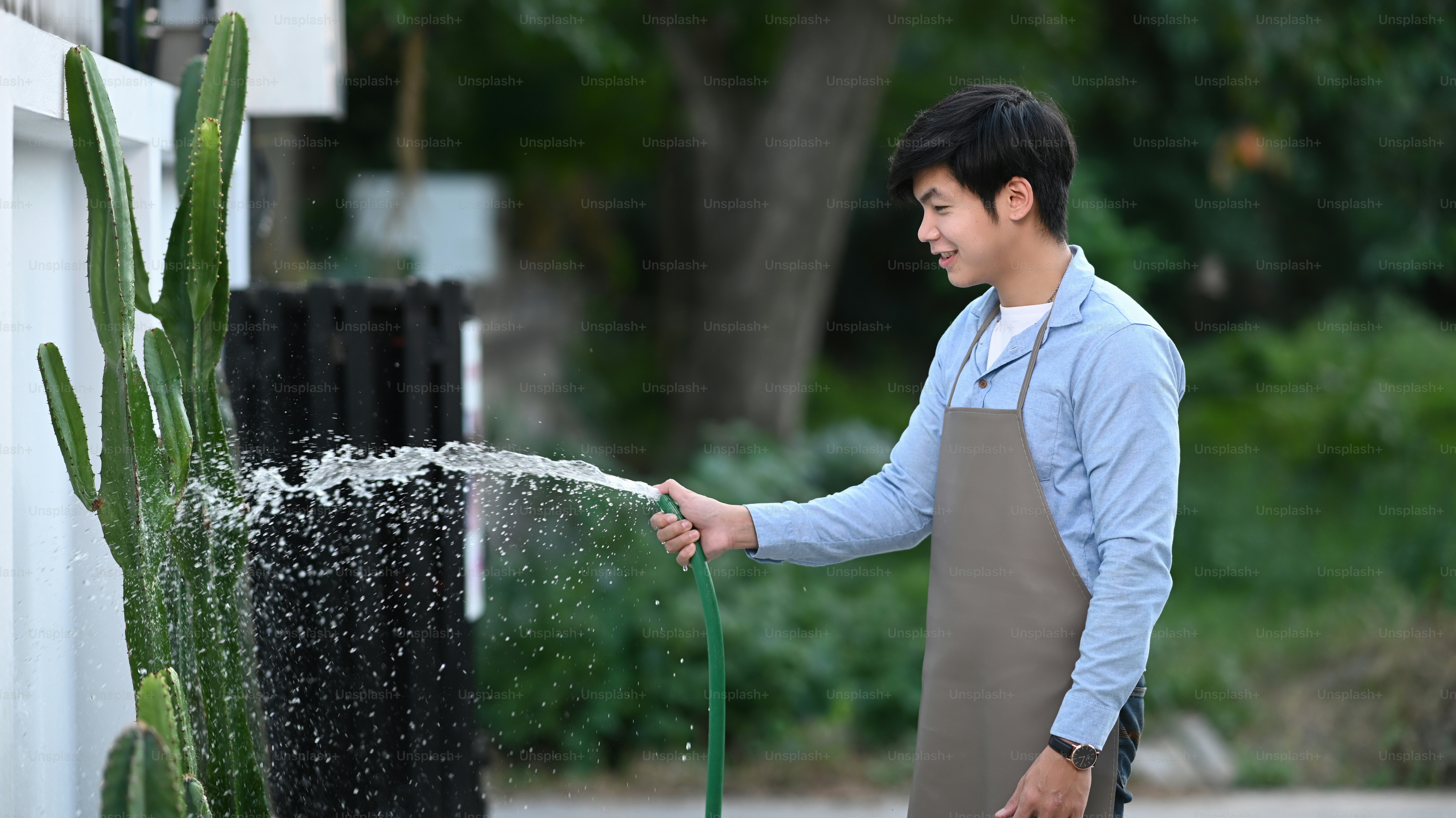 Portrait of young attractive spraying water from hose watering a plant at home.