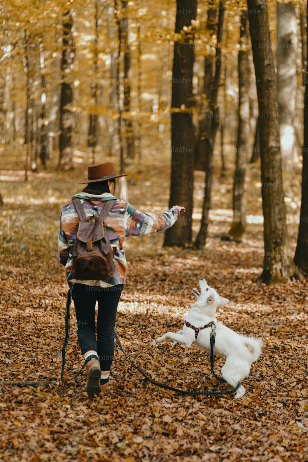 Stylish woman training adorable white dog to jump in sunny autumn woods. Cute swiss shepherd puppy learning with treats. Hipster female with backpack playing with her dog in autumn forest