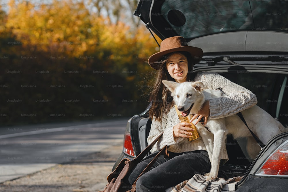 Stylish young woman sitting with cute white dog in car trunk on background of sunny autumn trees. Road trip with pet. Traveling with swiss shepherd puppy. Space for text