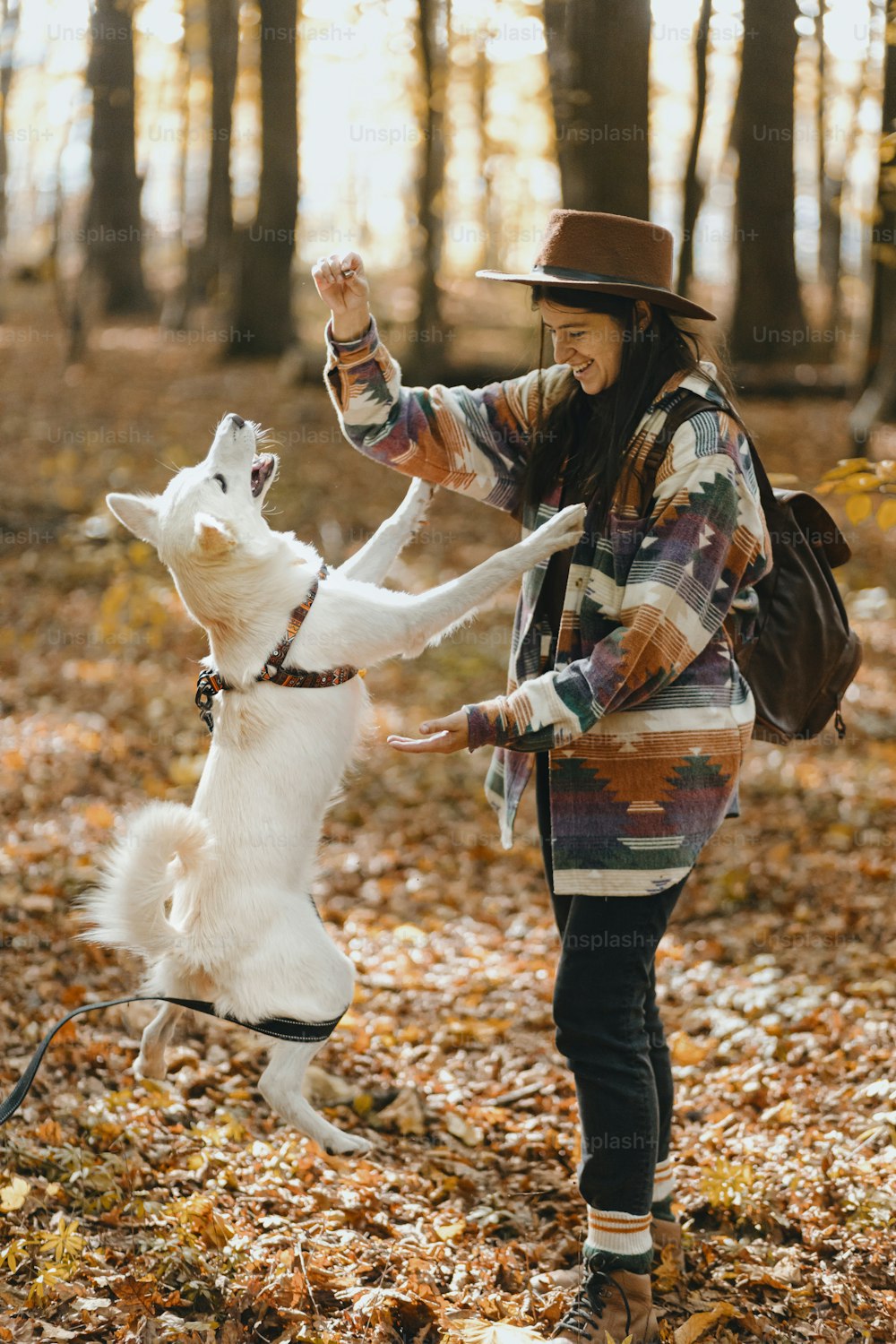 Stylish woman training adorable white dog to jump in sunny autumn woods. Cute swiss shepherd puppy learning with treats. Hipster female with backpack playing with her dog in autumn forest