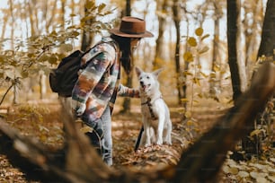 Stylish woman caressing adorable white dog in sunny autumn woods. Cute swiss shepherd puppy. Hipster female with backpack walking with her dog in autumn forest. Space for text