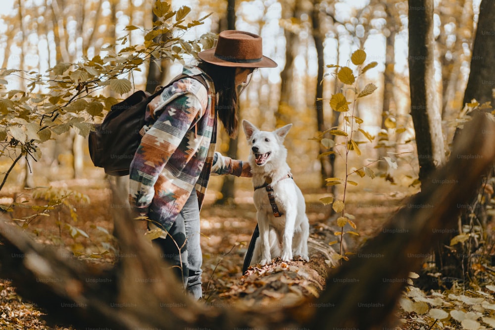 Mujer elegante acariciando adorable perro blanco en bosques soleados de otoño. Lindo cachorro de pastor suizo. Mujer hipster con mochila paseando con su perro en el bosque otoñal. Espacio para el texto