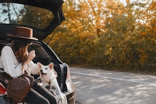 Road trip avec animal de compagnie. Jeune femme élégante assise avec un chien blanc mignon dans le coffre de la voiture sur une route d’automne ensoleillée. Femelle heureuse voyageant avec un chiot berger suisse et explorant le monde ensemble. Espace pour le texte