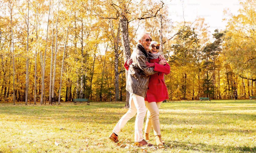 幸せで笑顔の老夫婦が美しい秋の都市公園を一緒に歩き、楽しんでいます。関係と人のコンセプト。