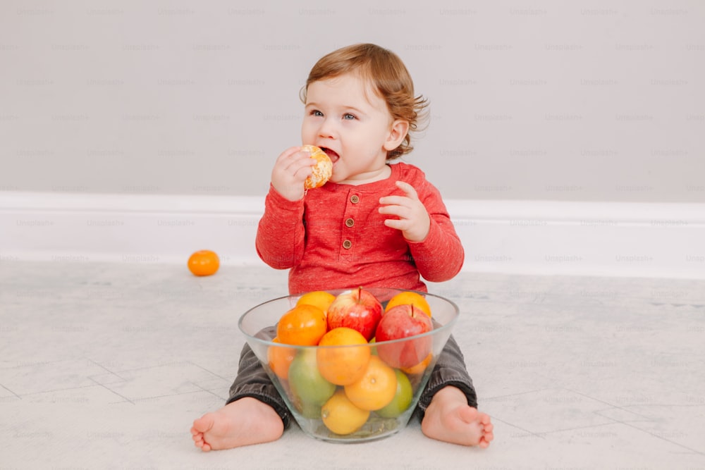 Cute adorable Caucasian baby boy eating citrus fruit. Finny child eating healthy organic snack. Solid finger food and supplementary food for children toddlers.
