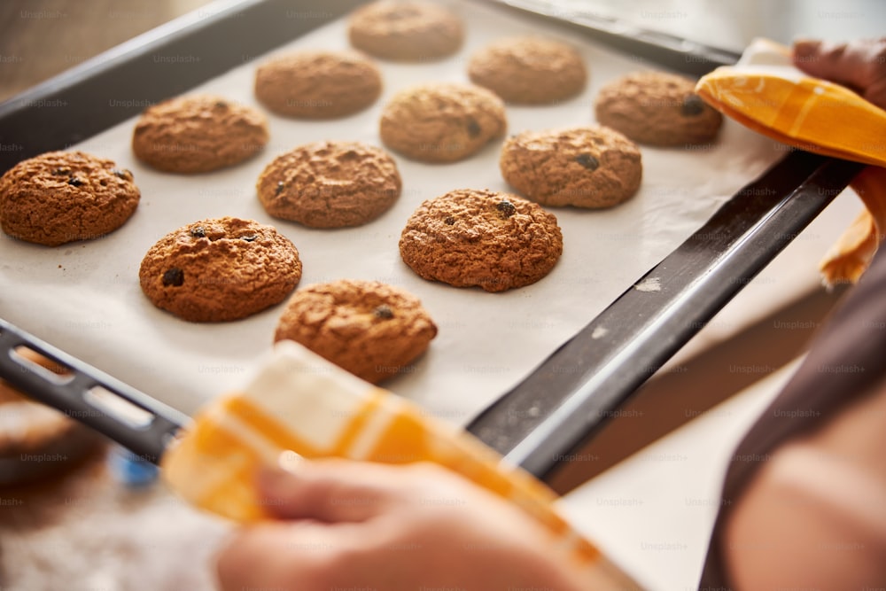 Close-up photo of a metal tray of fresh crisp cookies right out of the oven in hands of baker
