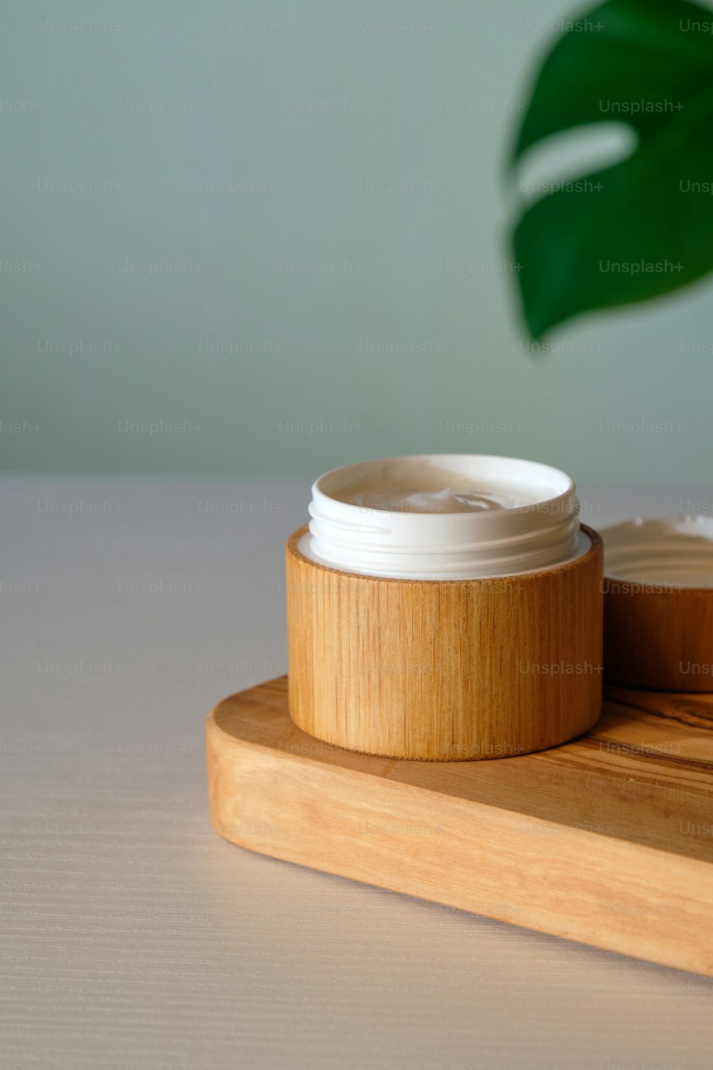 Eco-friendly bamboo jar of moisturizer cream and green tropical leaf. Natural organics cosmetics, spa beauty product.