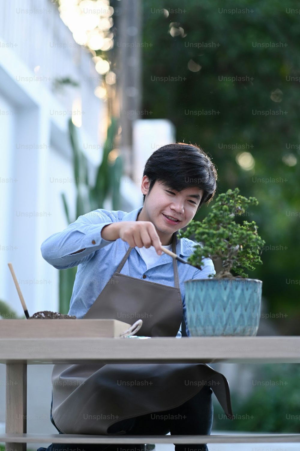 Portrait of cheerful male gardener planting bonsai tree in pot with garden tools at his yard.