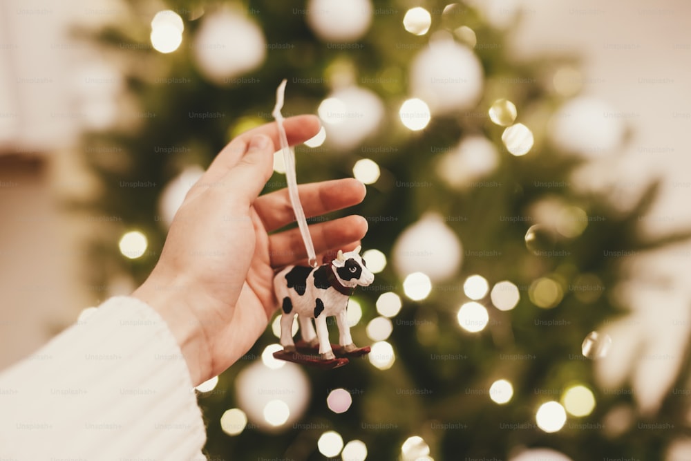 Happy New Year 2021 ! Hand holding cow or bull toy on background of beautiful christmas tree lights bokeh, space for text. Cute cow figurine decor on christmas tree, symbol of new year 2021