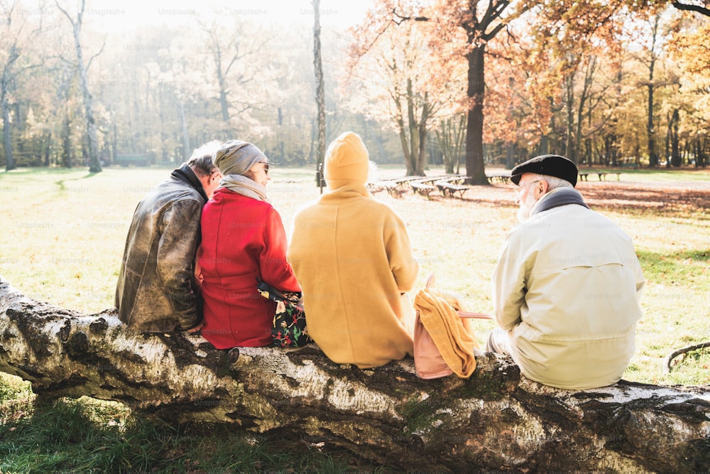 Groupe d’amis retraités âgés assis sur une branche d’arbre et se relaxant dans un beau parc d’automne. Vue arrière.