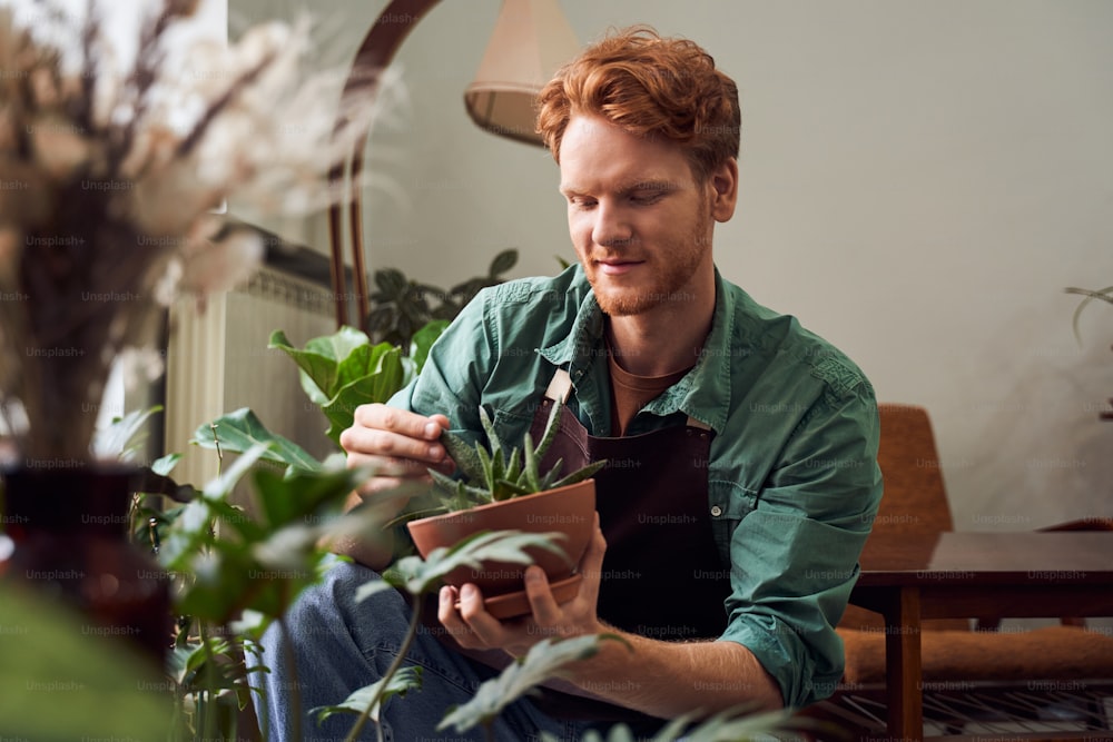 Handsome red head florist taking care about cactuses in flower shop