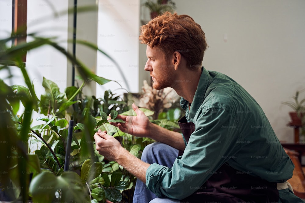 Handsome red head florist taking care about plants in plantshop