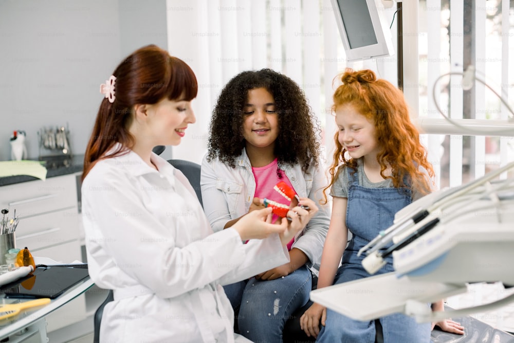 Dental care, teeth hygiene and check up. Young smiling female dentist showing teeth and jaw model to African American and Caucasian teenagers girls, visiting modern dental clinic