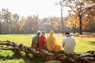 Gruppo di amici anziani in pensione seduti su un ramo di albero e rilassati nel bellissimo parco autunnale. Vista posteriore.