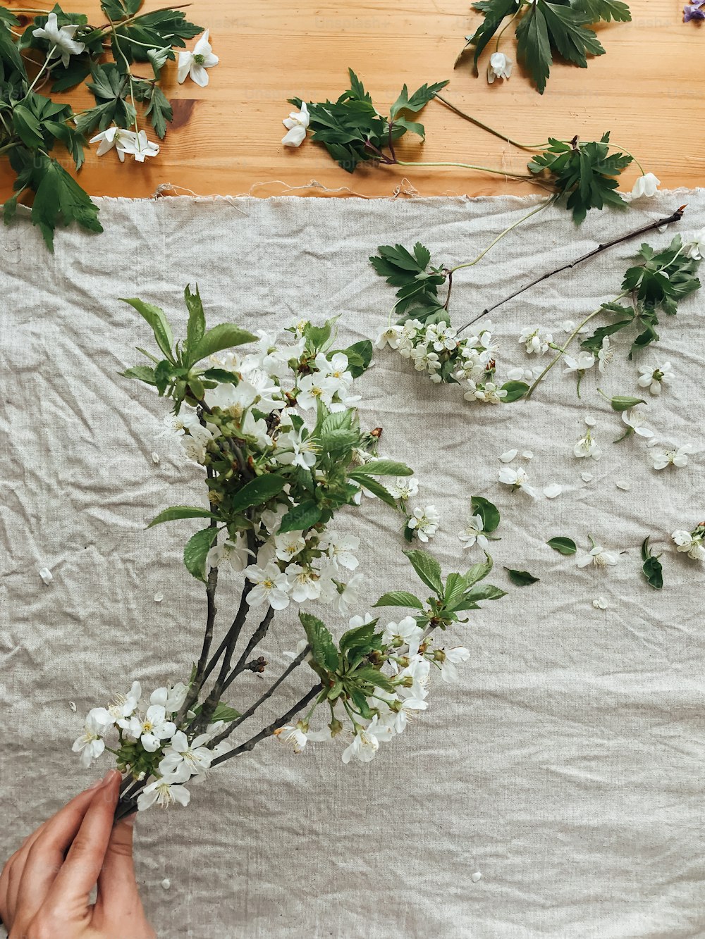 Mano sosteniendo ramas, pétalos y hojas de cerezo y manzano sobre tela de lino rústico, vista superior. ¡Hola primavera y Felices Pascuas! Imagen estética simple. Flores de primavera sobre tela de lino