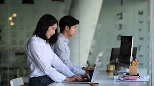 Vista lateral de dois trabalhadores de escritório concentram-se trabalhando no computador e sentados juntos no escritório moderno.